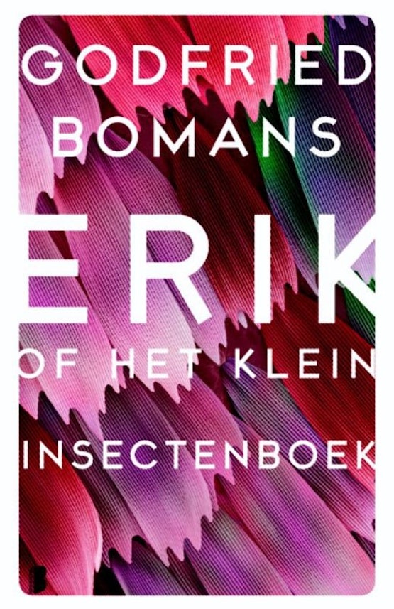 Wopke Hoekstra: Erik of het klein insectenboek