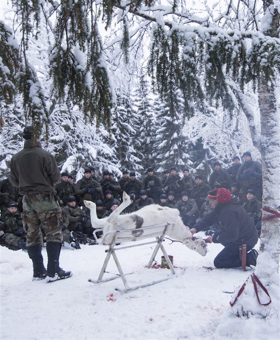 Wintertraining Korps Mariniers in Noorwegen