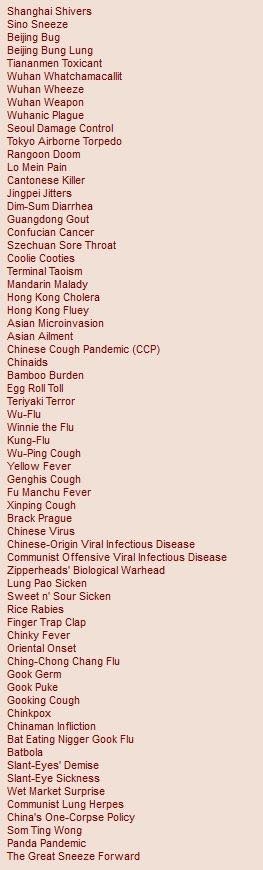 Synoniemenlijst voor de Kung Flu